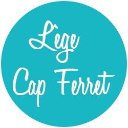 logo-instagram