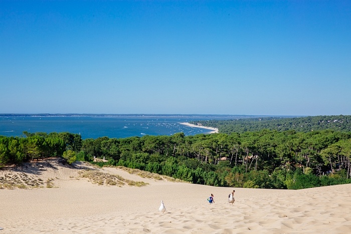 dune-pilat-lege-cap-ferret-agence-les-conteurs-158