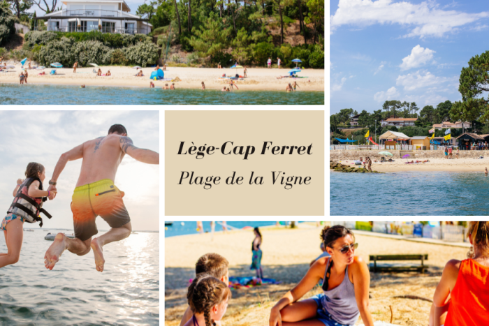 LEGE-CAP FERRET (1)